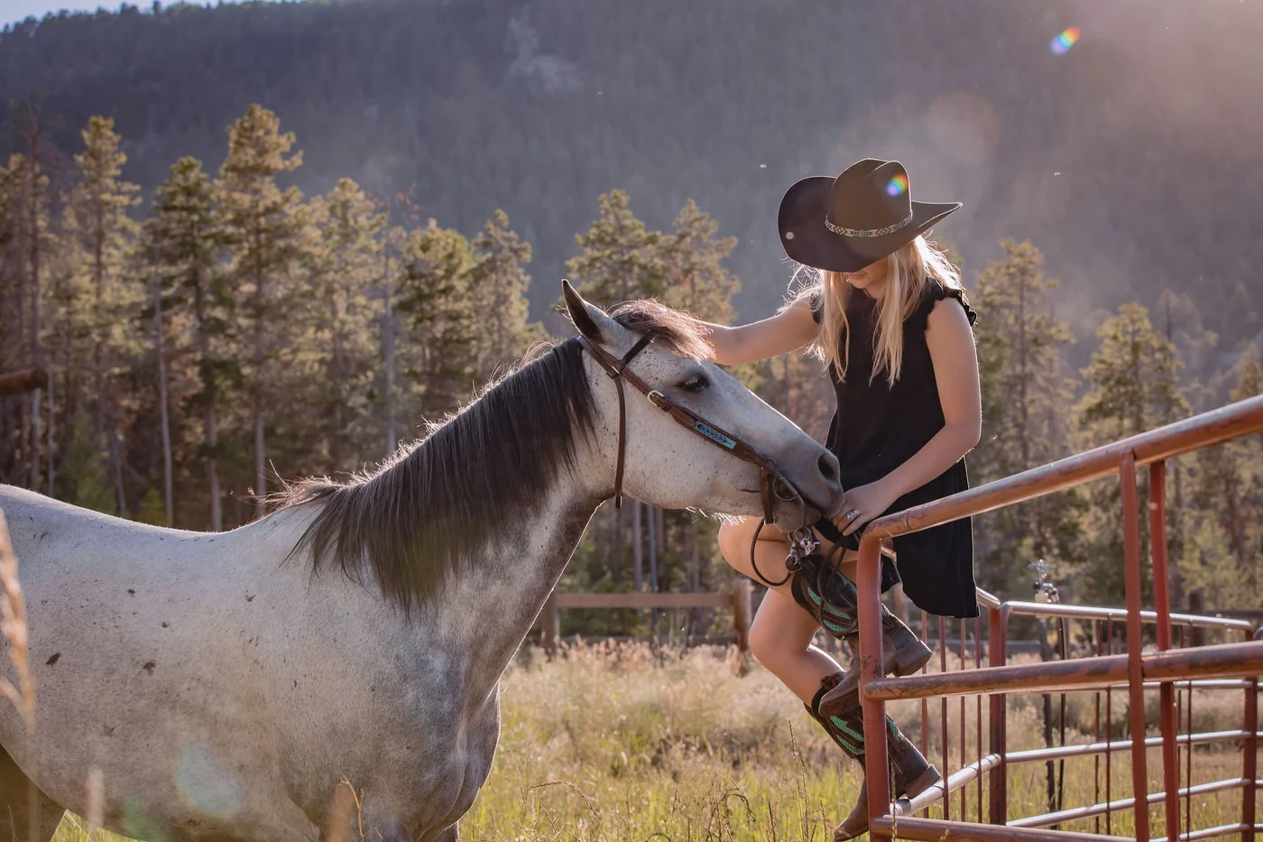 Equine photo 2 of 11 — Tact Studios Co., Denver, Colorado photographer