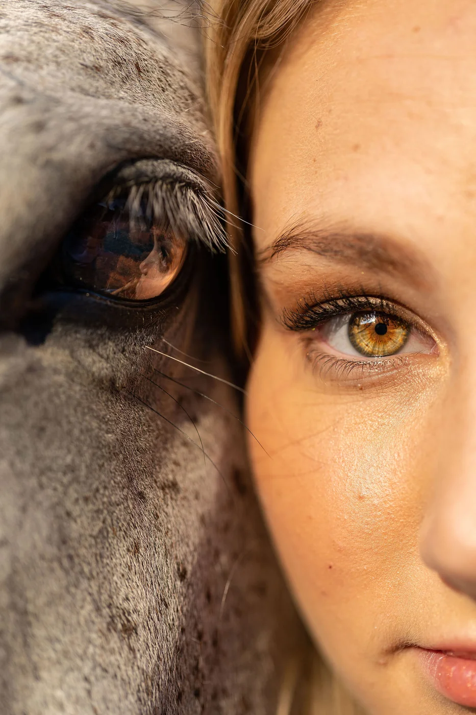 Equine photo 3 of 11 — Tact Studios Co., Denver, Colorado photographer