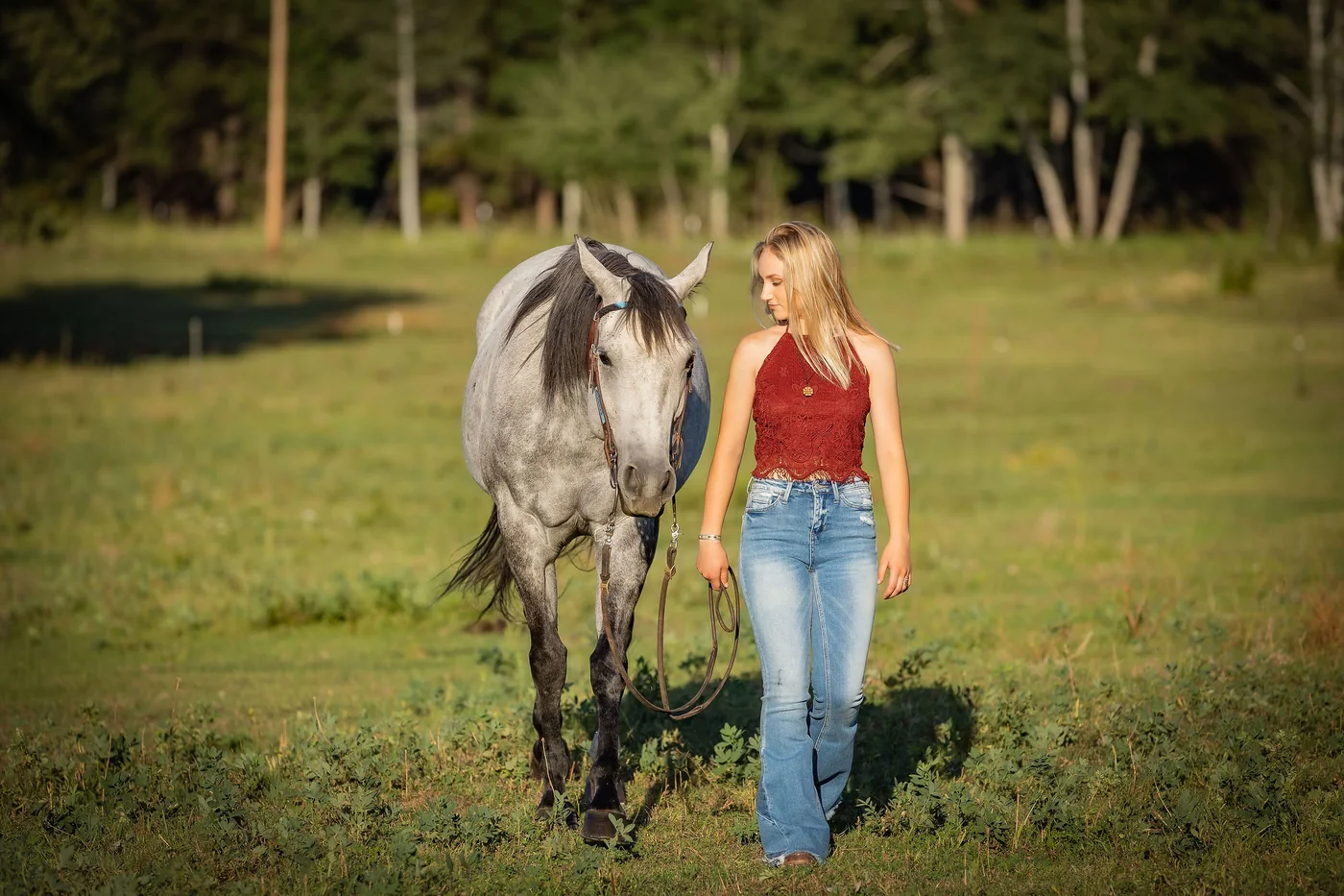 Equine photo 4 of 11 — Tact Studios Co., Denver, Colorado photographer