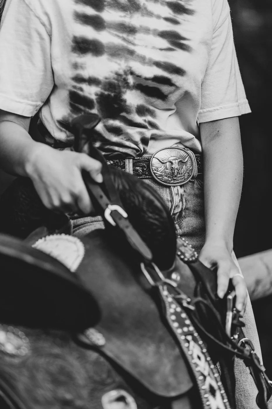 Equine photo 6 of 11 — Tact Studios Co., Denver, Colorado photographer