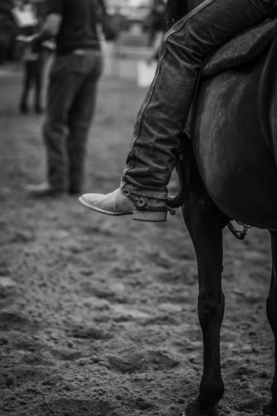 Equine photo 9 of 11 — Tact Studios Co., Denver, Colorado photographer